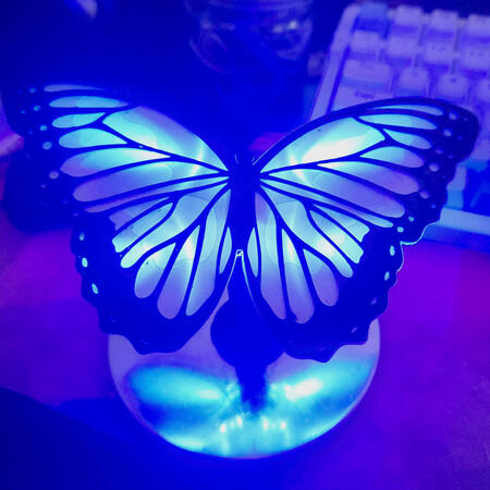 3D printed butterfly backlit with blue light